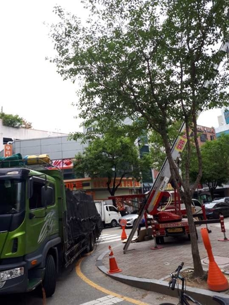 일류사다리 PC 이미지 1203858