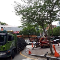 일류사다리 PC 갤러리 6